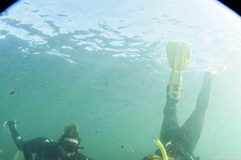 How a Teen Scientist Uncovered a Massive Oceanic Golf Ball Pollution Crisis