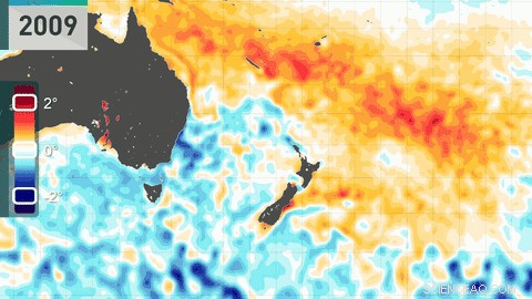 New Zealand s Coastal Waters Face Another Marine Heatwave