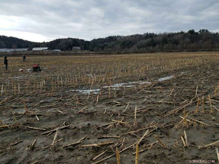 Farm Manure Drives Higher Greenhouse Gas Emissions During Winter