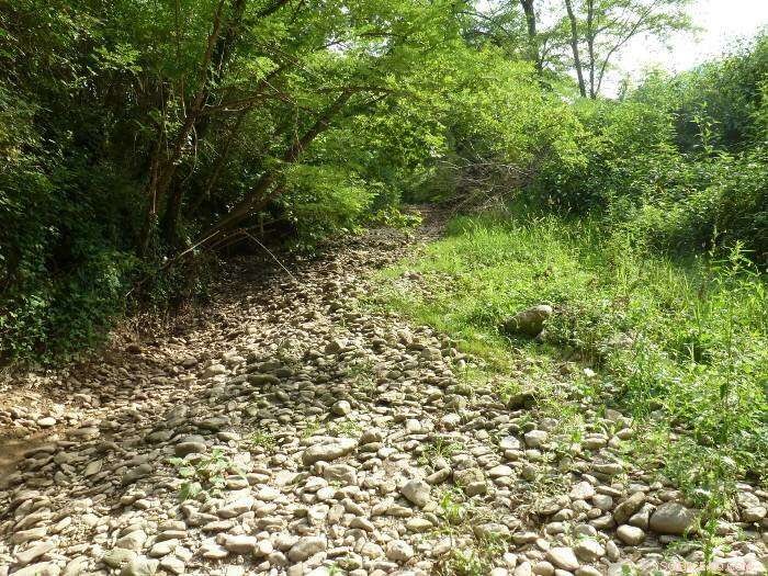 Dry Inland Waters: A Key Yet Overlooked Player in Climate Change