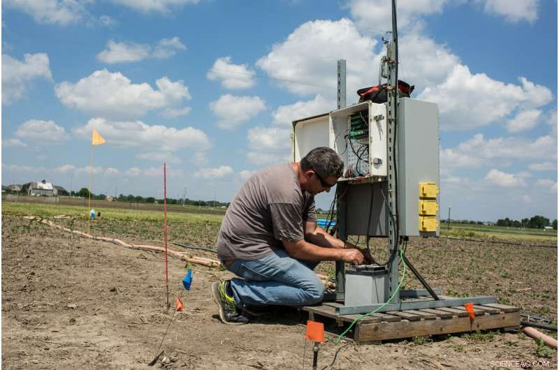 How Rising Temperatures Could Preserve Crop Nutrition Amid Climate Change