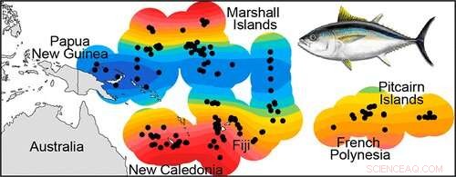 What Drives Mercury Levels in Tuna? New Study Reveals Critical Factors
