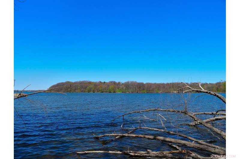 Detecting Invasive Species Early: Strategies to Control Their Spread in the Great Lakes