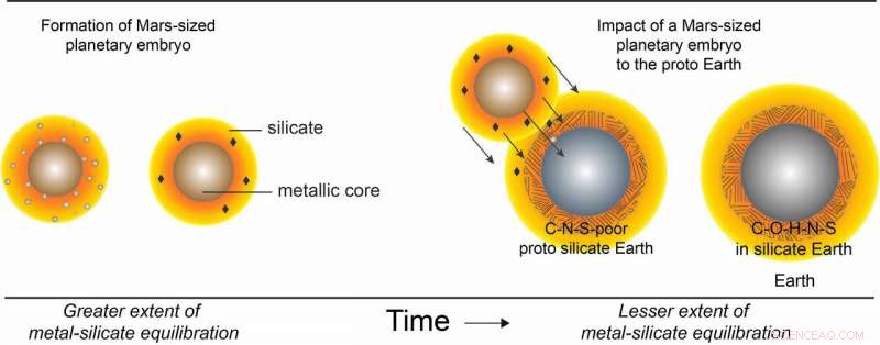 How the Moon‑Forming Impact Enabled Life on Earth
