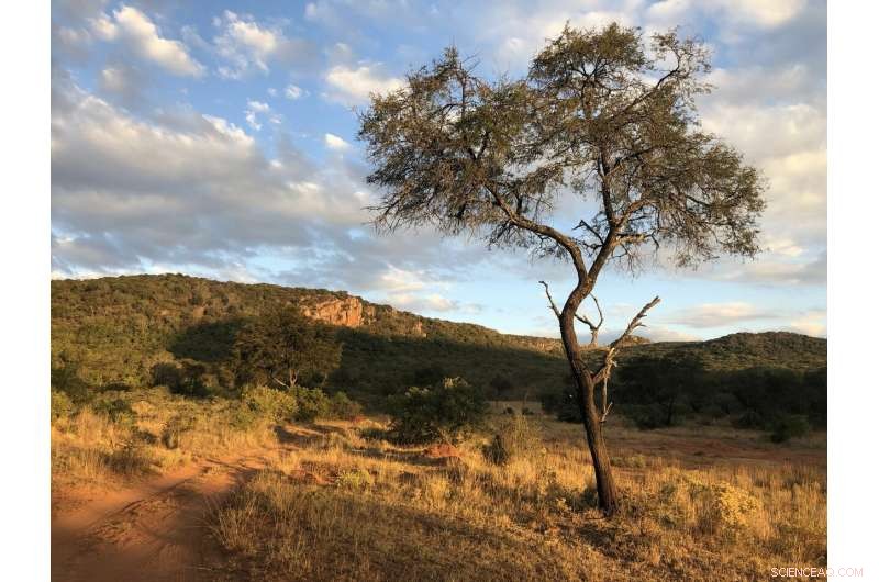 Study Finds Climate Tipping Point May Arrive Earlier Than Expected