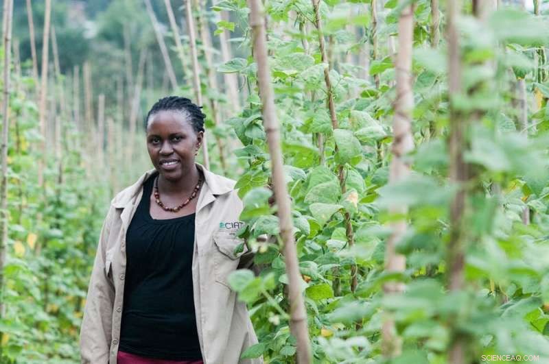 Adapting to Climate Change: Making Informed Choices When Not All Can Be Saved