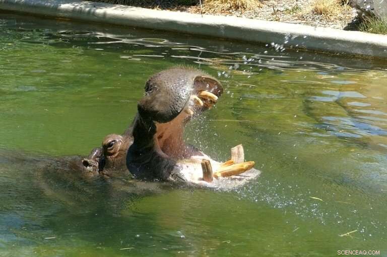 South Australia Heatwave Breaks Temperature Records, Reaching 49°C