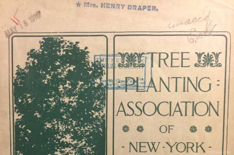 From Tree Scarcity to Rewilding: How Cities Are Reclaiming Green Spaces