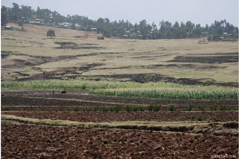 Rising Rainfall Masks Devastating Droughts as Climate Change Intensifies