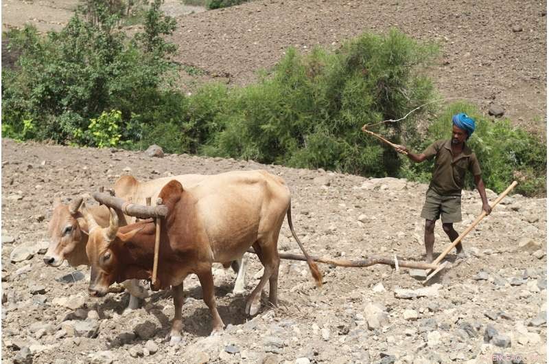 Rising Rainfall Masks Devastating Droughts as Climate Change Intensifies
