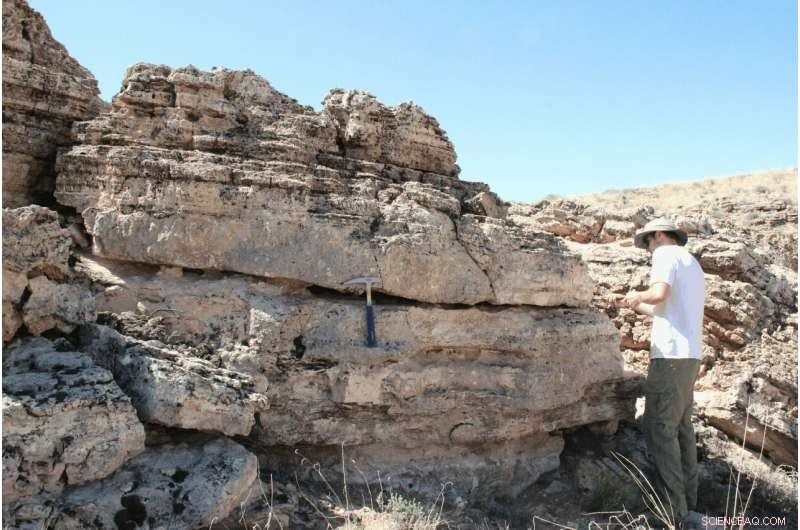 Fault Lines Do Not Hinder Secure Underground CO₂ Storage, Study Finds