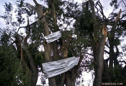 Record‑Setting Tornado Strikes Cuba, Killing 3 and Injuring 172