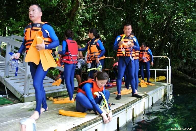 Palau’s Golden Jellyfish Attraction Reopens: Dive Into a Unique Marine Experience