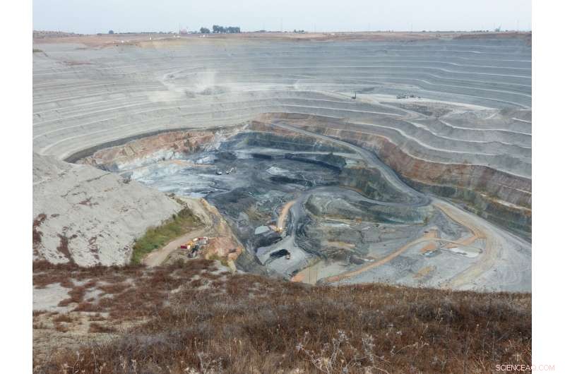 Do Microbes Shape Giant Copper Deposits? Insights into Bacterial Control of Ore Formation