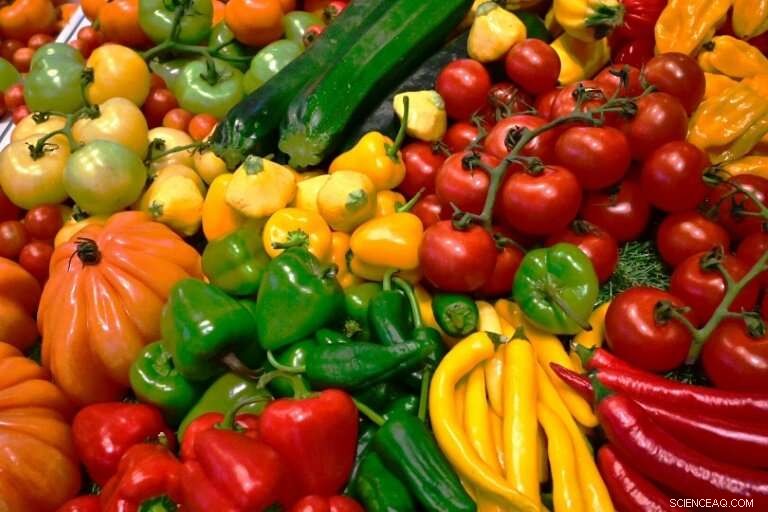 Urgent Global Shift Required to Address Obesity, Hunger, and Climate Crisis: New Report