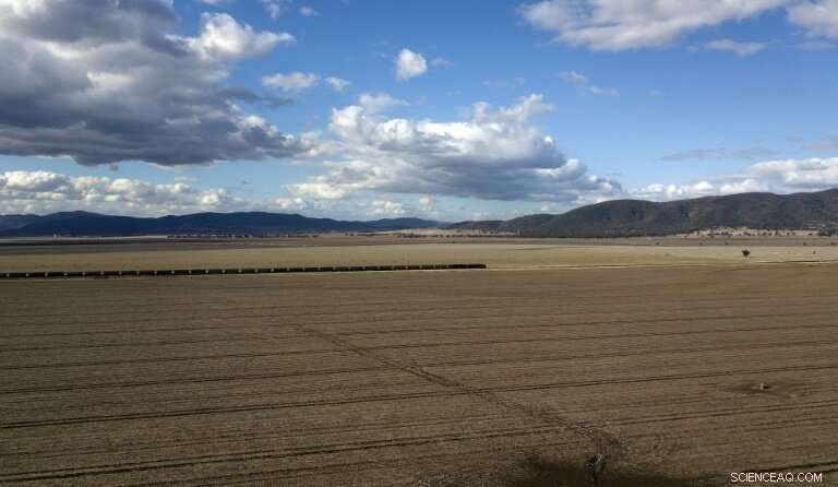 Massive Fish Die-Off in New South Wales River System Highlights Drought Crisis