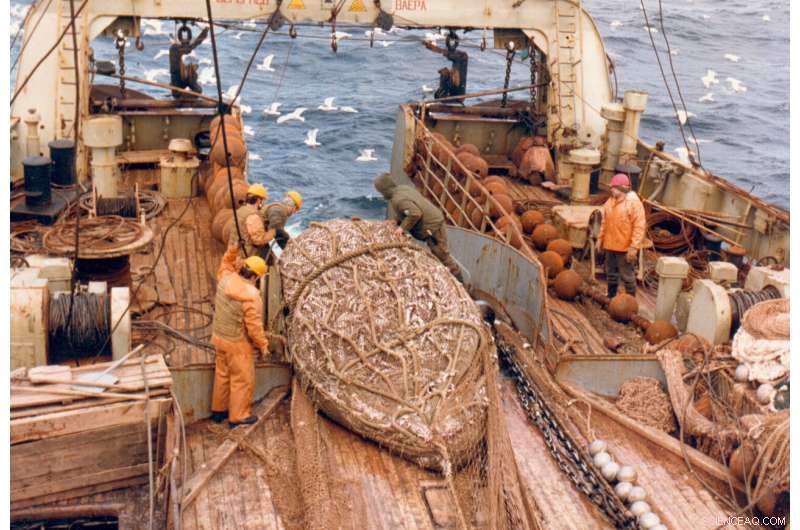 Extreme Weather & Geopolitics Amplify Food Shock Risks