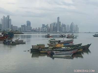 Fishing Boat CO2 Emissions 30% Higher Than Reported, Study Reveals Larger Marine Impact