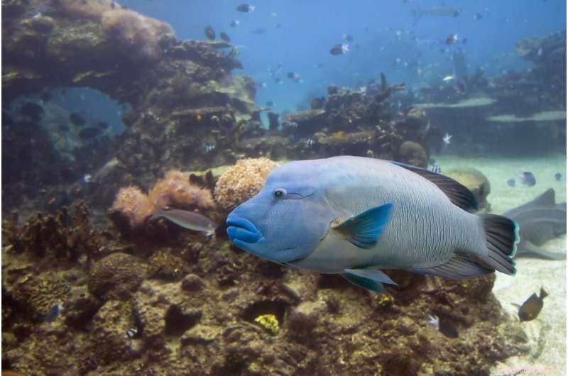 Assessing the Impact of New Zealand’s Recent Heatwave