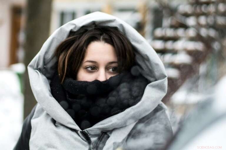 Arctic Chill Threatens US Midwest: Emergency Declarations and Safety Measures