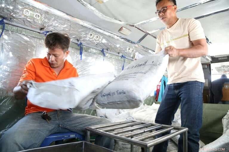 Bangkok Schools Forced to Shut Amid Deadly Smog Crisis