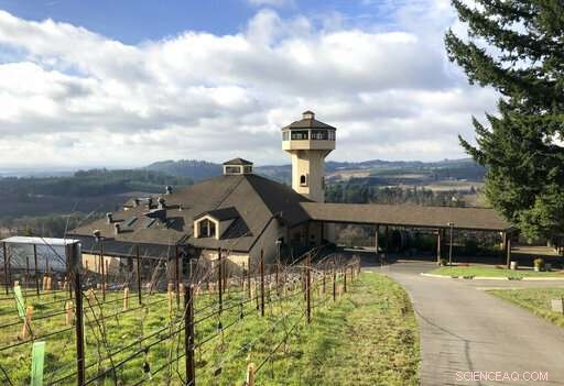 Shutdown Impedes Support Efforts for Oregon Winegrowers
