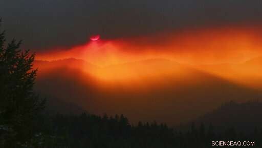 Shutdown Impedes Support Efforts for Oregon Winegrowers