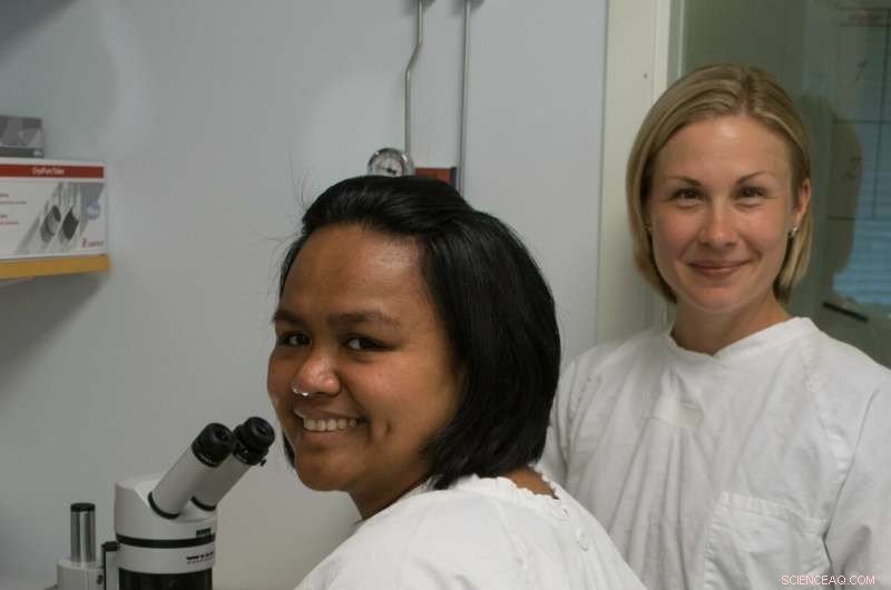 Industrial Chemicals Transfer from Mother to Fetus During Pregnancy, Study Shows