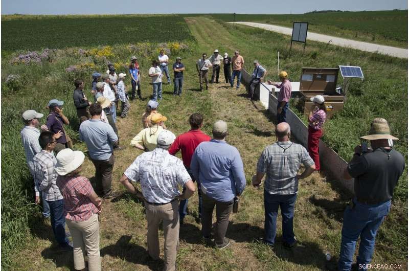How Prairie Strips Revolutionize Farmland Conservation