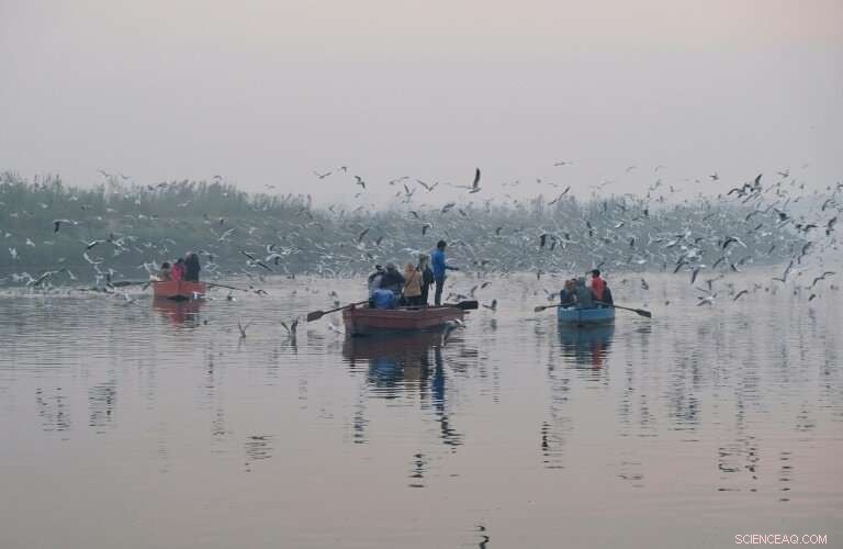 Surviving Delhi’s Toxic Smog: The Harsh Reality