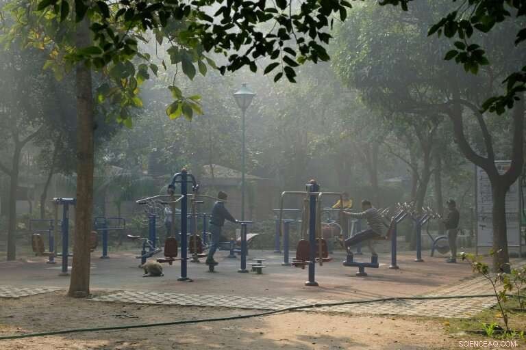 Surviving Delhi’s Toxic Smog: The Harsh Reality