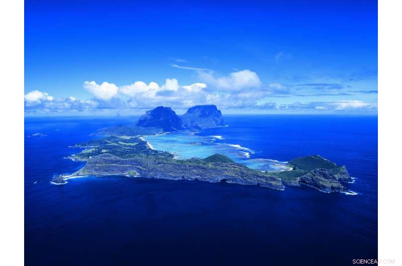 Tracing the Volcanic Roots of Lord Howe Island: An Underwater Investigation