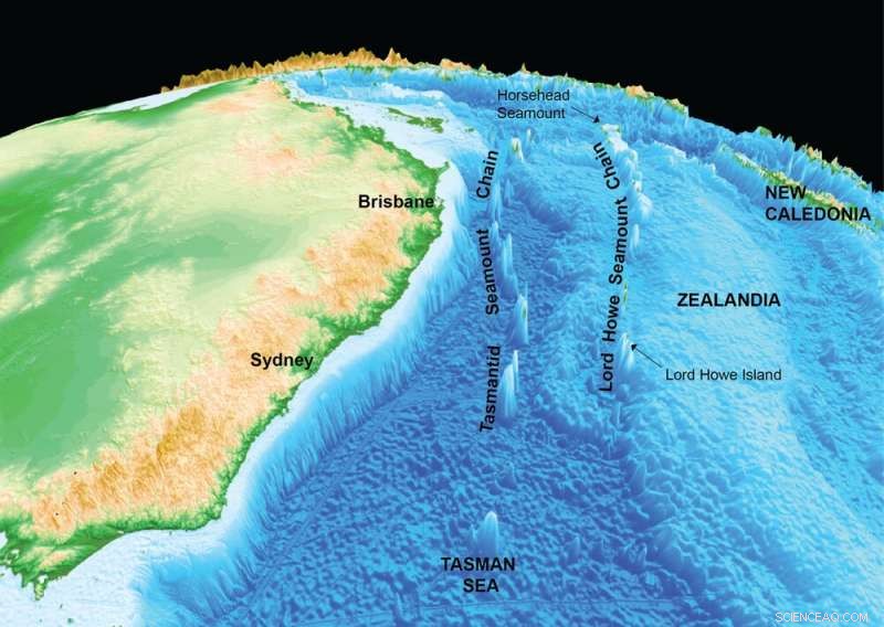 Tracing the Volcanic Roots of Lord Howe Island: An Underwater Investigation