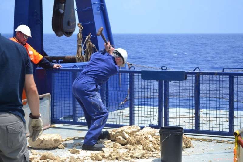 Tracing the Volcanic Roots of Lord Howe Island: An Underwater Investigation