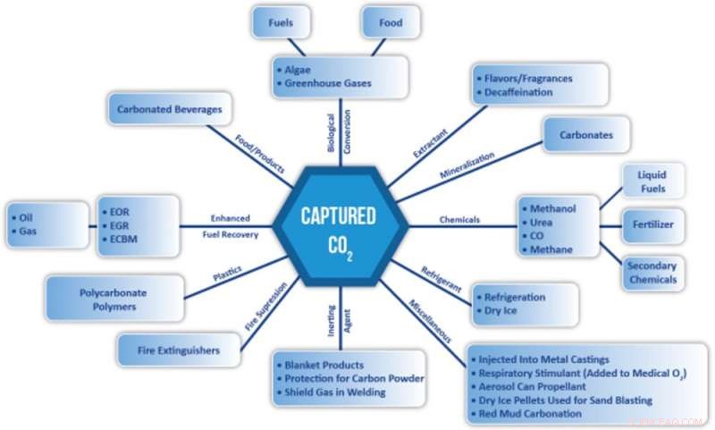 Carbon Capture Sparks Divide Among Environmentalists