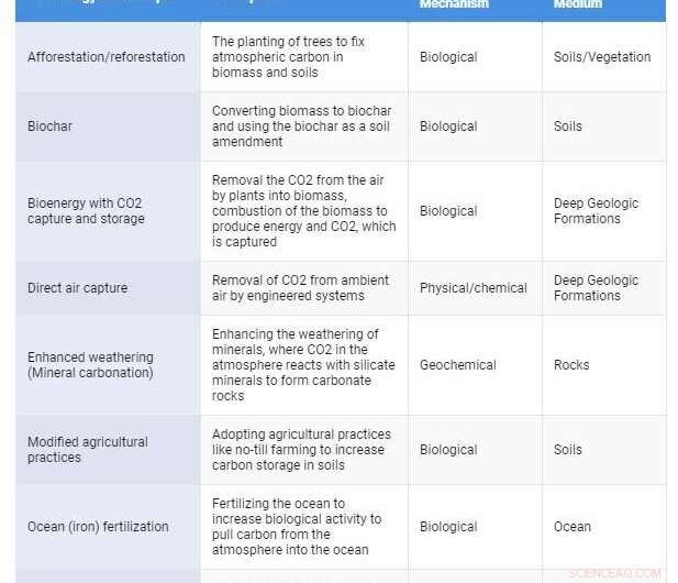 Carbon Capture Sparks Divide Among Environmentalists