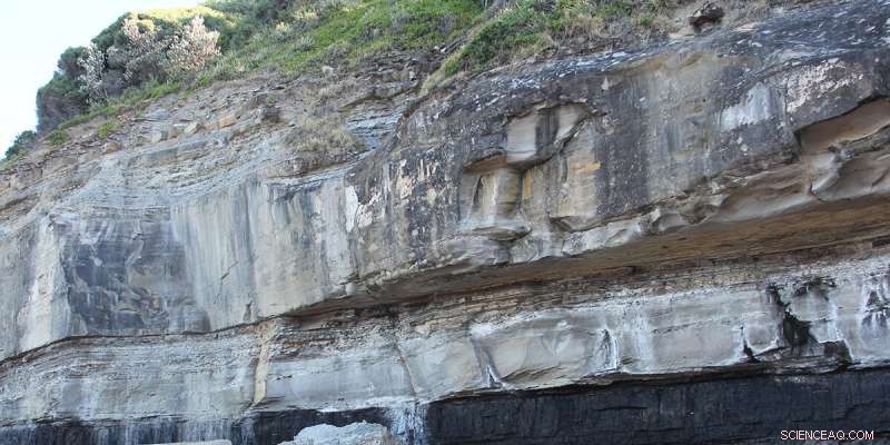 Earth s Largest Extinction: Plants Fell First, New Research Confirms