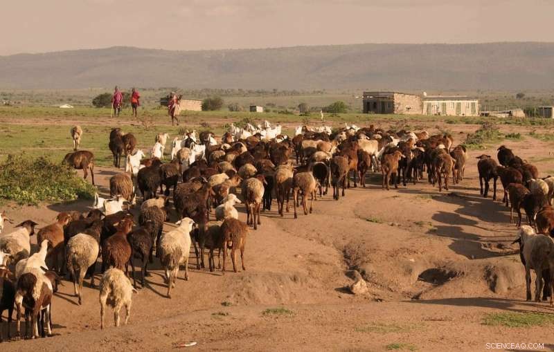 Socio‑Economic Development Could Significantly Mitigate Heatwave Risks