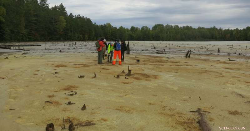 Abandoned Mines Cleanup: Why Everyone Bears the Cost