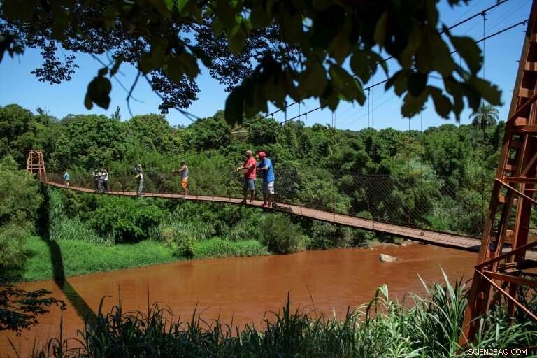 Brazilian Dam Collapse Triggers Human Tragedy and Long-Term Environmental Concerns