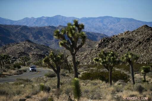 National Parks Race to Restore Areas Damaged During Government Shutdown