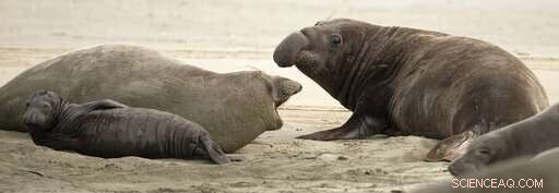 National Parks Race to Restore Areas Damaged During Government Shutdown