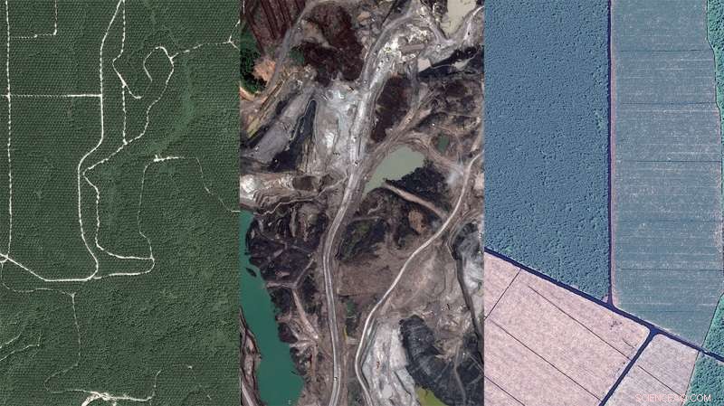 Beyond Palm Oil: Multiple Factors Fuel Indonesian Deforestation