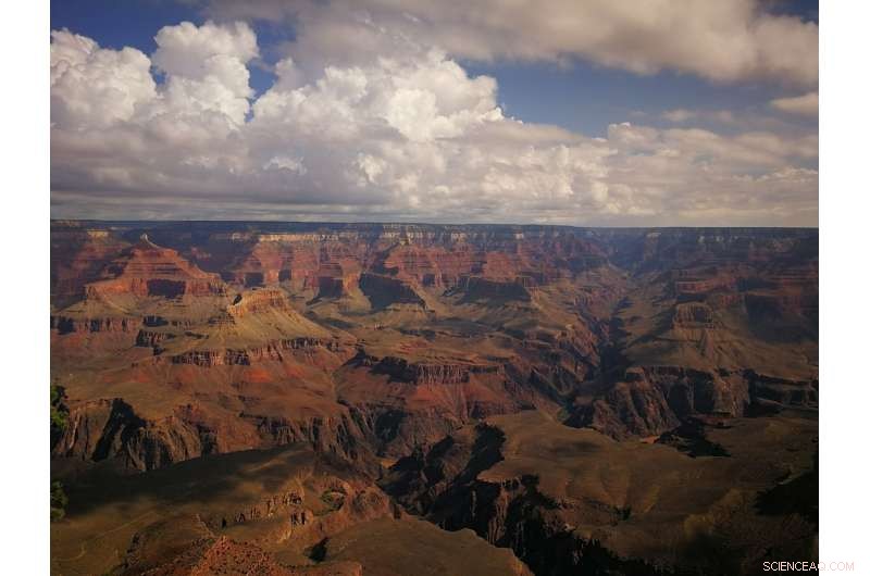 Predatory Plankton: Architects of Modern Ecosystems Post Snowball Earth