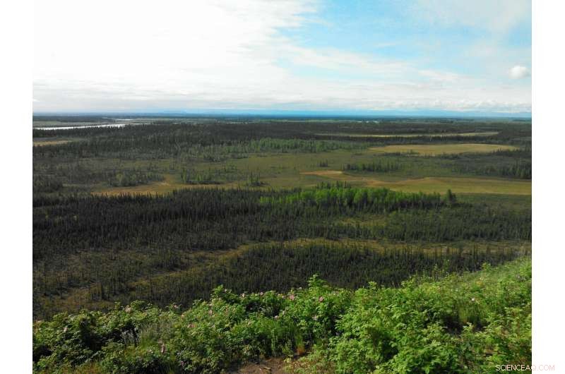 Early Spring Rain Triggers 30% Surge in Methane from Thawing Permafrost