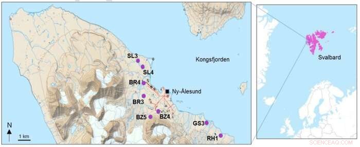 Arctic Soil Microbes Show Multidrug Antibiotic Resistance – Study Highlights Global Threat