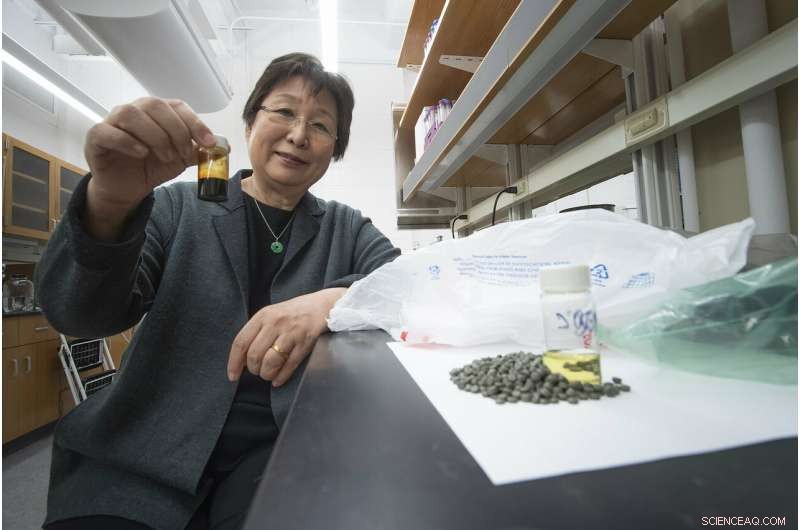 Purdue’s New Process Turns Plastic Waste Into Clean Fuels