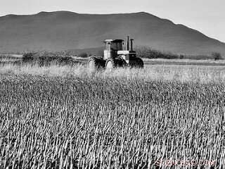 Building a Sustainable, Equitable, and Healthy Food System: What It Takes