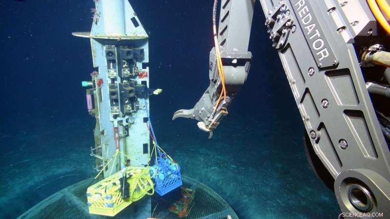 Rare Deep-Sea Microbes Offer Insights into Earth s Origins