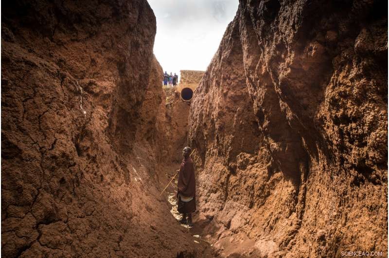 Combining Disciplines Is Key to Combat Soil Erosion’s Devastating Impact